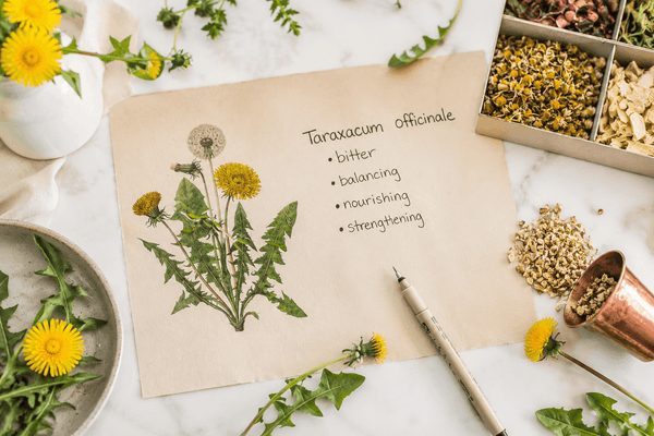 How to Read an Herbal Monograph